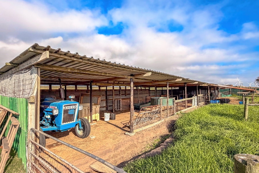 0 Bedroom Property for Sale in Humansdorp Rural Eastern Cape